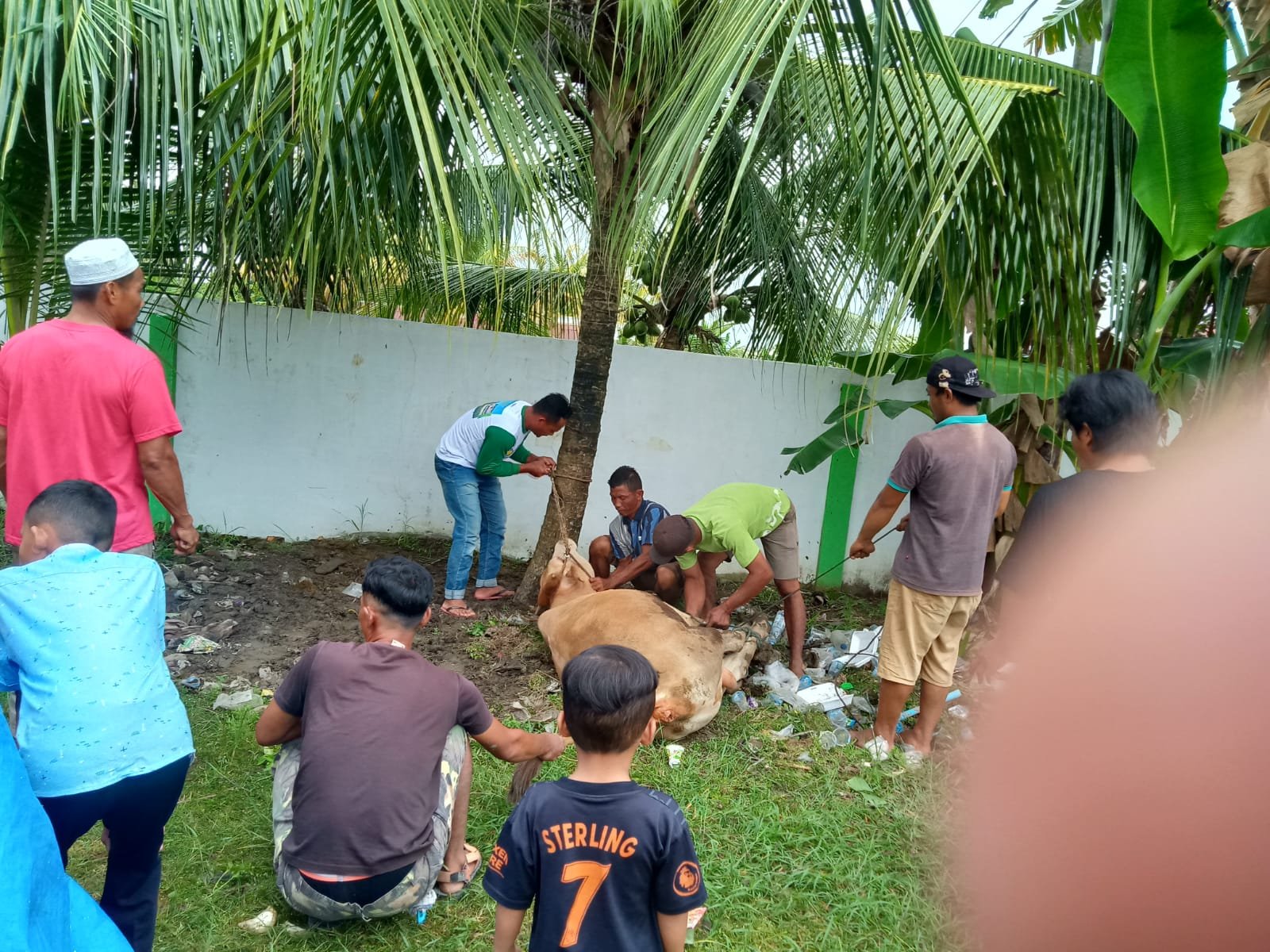 Qurban Masyarakat Tiap Dusun Desa Suka Makmur